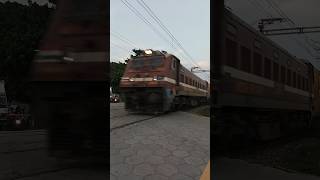 WAP-4 honking ⚡ #status #trending #viral #love #music #shortvideo #train #subscribe #shorts #short