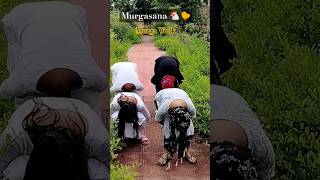 मुर्गासन बढ़ाता हैं आँखों की रोशनी एवं दिमाग़ को भी करेगा तेज़| Yoga Girl Murgasan | #murgasan #shorts