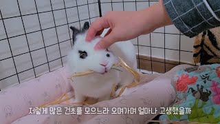 상상 출산 임박? 둥지 공개!