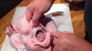 Éviscération d'un poulet fermier - how to eviscerate a chicken (french)