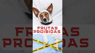 ⚠️ Frutas proibidas para o seu cão #dog #saudecanina #yourdog