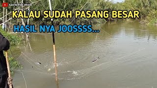 TANGKAP IKAN DISAAT PASANG BESAR SETIAP TARIKAN SLALU ADA IKAN