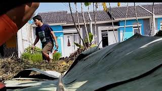 Video singkat Kerja bakti Blok N Primavera Residence