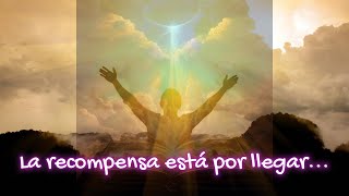 ✨"La Respuesta de DIos" | (El llegará cuando deba llegar)