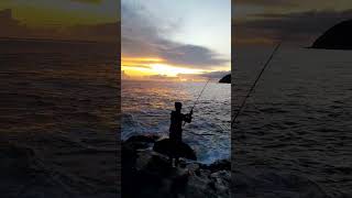 Casting And Strike for Queen Fish #fishing #fish #mancing