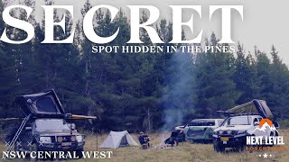 Alone In The Pines! Uncovering a Secret Campsite Deep In The Forest!