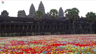 Cambodia, Siem Reap, Temples of Angkor, Angkor Wat, IMPRESSIONS GALLERY - artful