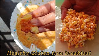 Gluten Free Roti or Akki Roti   | high protein breakfast 🥞