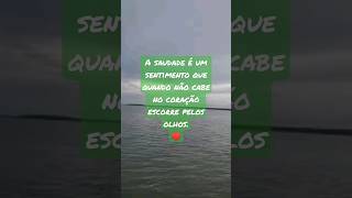 Saudades #motivação #saudade #boatarde #frases