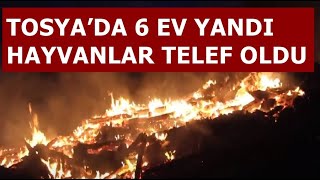 TOSYA’DA 6 EV YANDI, HAYVANLAR TELEF OLDU