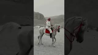 خيل و خياله ماشاء الله 🔥