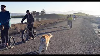 Alameda Creek Trail - Coyote Hills Regional Park