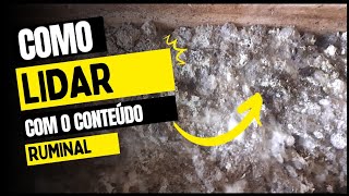 #Lidando com O CONTEÚDO RUMINAL