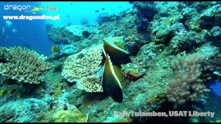 Diving Bali part 1