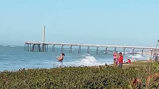 Baleia é atração na praia de Costazul em Rio das Ostras -RJ