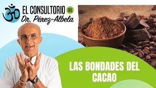 Las bondades del cacao | #ElConsultorioDelDr.PérezAlbela👨‍⚕🥗🏃‍♀