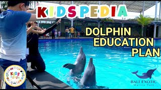 KIDSPEDIA - DOLPHIN EDUCATION PLAN