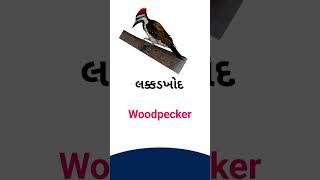 Woodpecker meaning in Gujarati - English dictionary