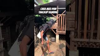 Mas Iyun tangkap anak kambing