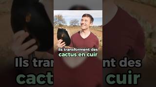 Ils transforment des cactus en cuir #mode