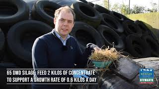 Why it is so important to test your silage