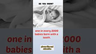 fact 58, babies tooth