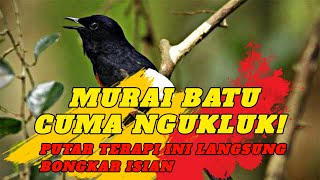 TERAPI MURAI BATU NGUKLUK CUKUP 1 DETIK BONGKAR MATERI TERPENDAM ❗