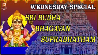 WEDNESDAY SPL | THIRUVENKADU | SRI BUDHA BHAGAVAN SUPRABHATHAM | BUDHA PARIHARA STHALAM | NAVAGRAHAM