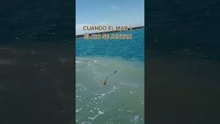 Cuando el mar y el río se juntan en Tecolutla Veracruz #shorts