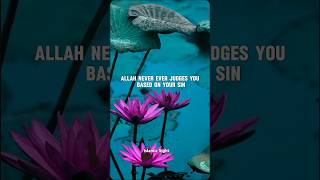 #Allah never judges you by your sin..| #shorts #shortsfeed #subscribe #islamicvideo