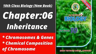 Chromosomes and genes class 10 | Biology class 10 chapter 6| Class 10 new biology book