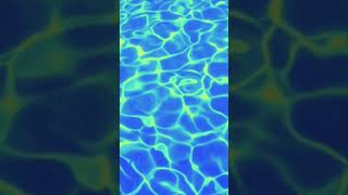 Laxity Blue #video #viral