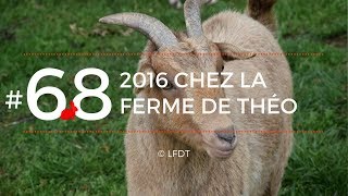 2016 CHEZ LA FERME DE THEO │LFDT #68