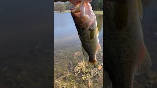 Good size bass in early spring