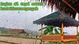 TERTIDUR DENGAN HUJAN LEBAT DAN SUARA BURUNG DI SAWAH | RAIN RELAXING