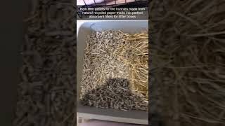 New bunny litter #bunnies #shorts #cute #viral #subscribe #like #comment #awesome #viral 😃