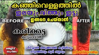 ചൂട് കഞ്ഞി വെള്ളത്തിൽ ഇലയും, വിത്തും ഇട്ടു കൊടുക്ക്  /hair care /perayila hair care/malayalam