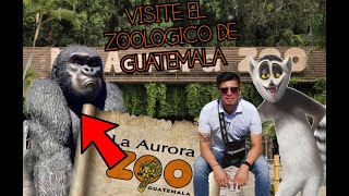 ZOOLOGICO LA AURORA MARAVILLOSOS REFUGIO ANIMAL EN GUATEMALA