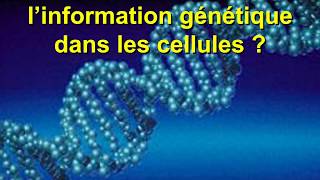 Vidéo 1 expression information génétique