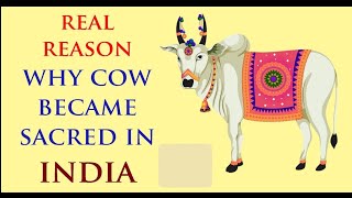 Why do Hindus Worship the Cow ~ By Javed Ahmed Ghamdi // Rediscover Islam