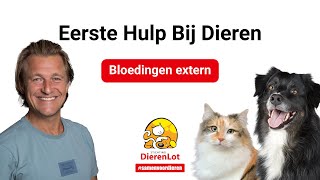 Wat te doen bij externe bloedingen?