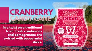 Cranberry Candy Cane Scentsy Bar