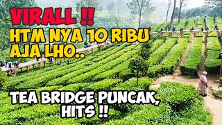 Virall Tea Bridge Puncak Bogor | agrowisata Gunung Mas | Jembatan Kebun teh