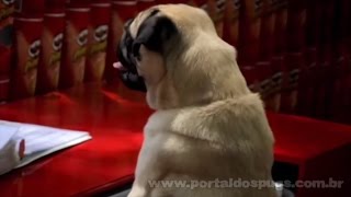 Pringles - Teclado Pringles - Comercial de TV - Propaganda com Pug