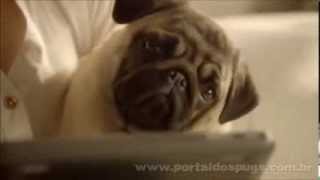 Ultima Special Mini - Comercial de TV - Propaganda com Pug