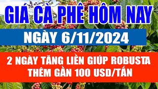 Giá cà phê hôm nay 6/11: 2 ngày tăng liền giúp Robusta thêm gần 100 USD/tấn