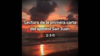 Lectura de la primera carta del apóstol San Juan 🙏🙏🙏