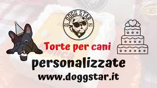 Torte per Cani Personalizzate