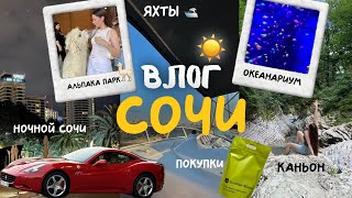 ВЛОГ ИЗ СОЧИ ☀️: Альпака парк🦙прогулка на яхте🛥️✨каньон и океанариум🪼🐬 | золотое яблоко 🍏