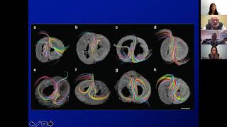 CARDIOPEDIATRIA